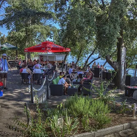 Dck Кострена